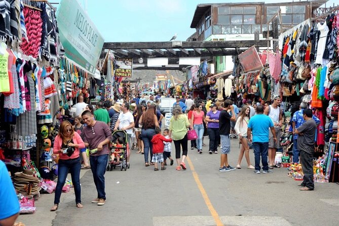 Ensenada Zipline and Blowhole Tour - A Detailed Look at What You Can Expect