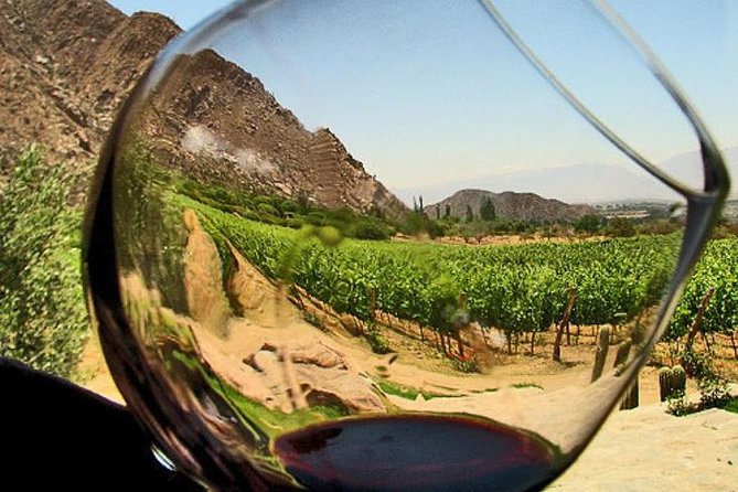 Ensenada Shore Excursion: Wine and Cheese Tour with Lunch in Ojos Negros Valley - Practical Details