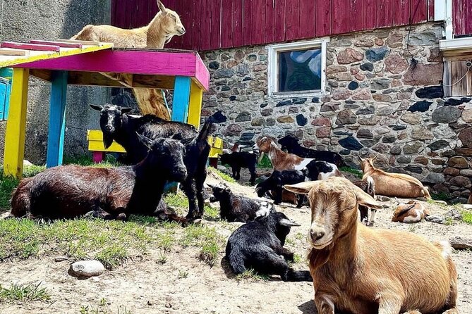 Toodle Tour in Port Hope Ontario - Final Thoughts