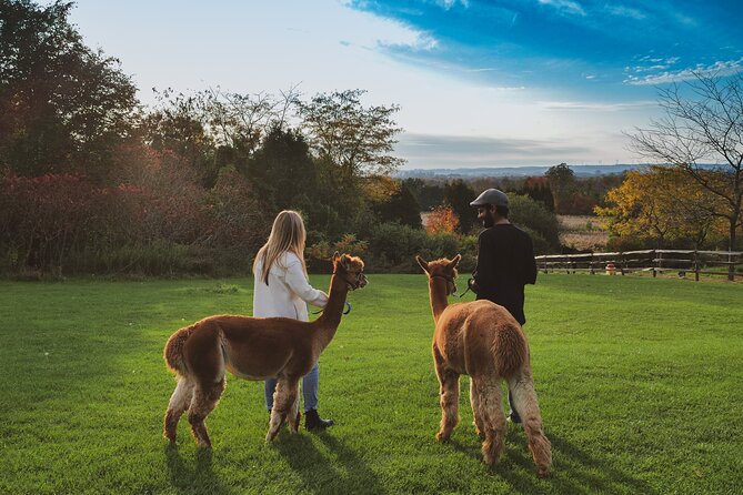 Toodle Tour in Port Hope Ontario - Who Should Consider This Tour?