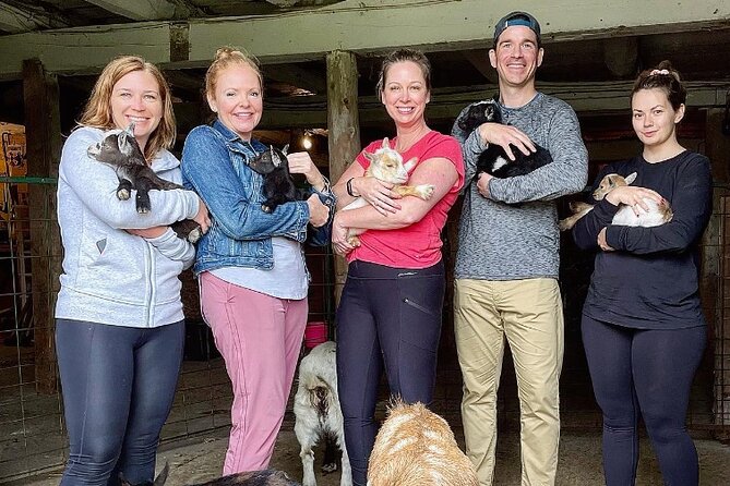 Toodle Tour in Port Hope Ontario - Practical Details