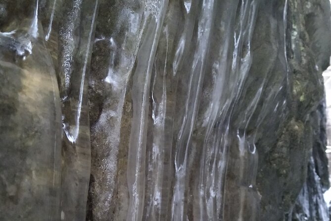 Private Singhampton Caves Snowshoe, Collingwood/Blue Mountain - Practical Details: Logistics and Equipment