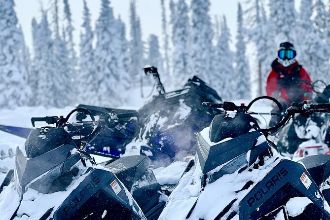 Beginner Private Guided Backcountry Adventure (Full Day) - Exploring Colorado’s Backcountry: What to Expect