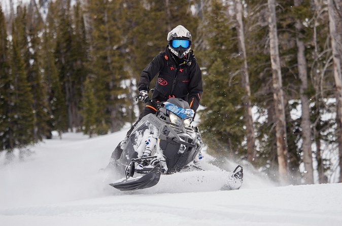 Beginner Private Guided Backcountry Adventure (Full Day) - Who Will Love This Tour?