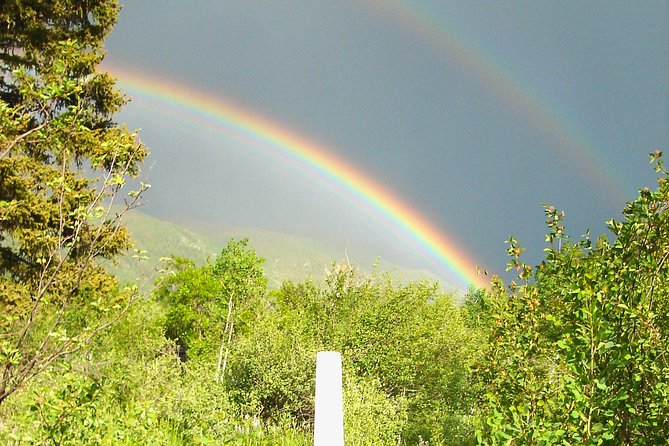 Cemetery Tour - An In-Depth Look at the Cemetery Tour