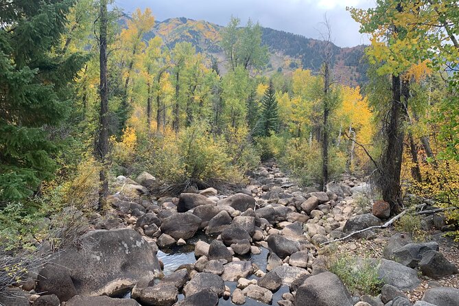 Leisure Hike - East Aspen Hunter Creek - Final Thoughts: Is This Tour Right for You?