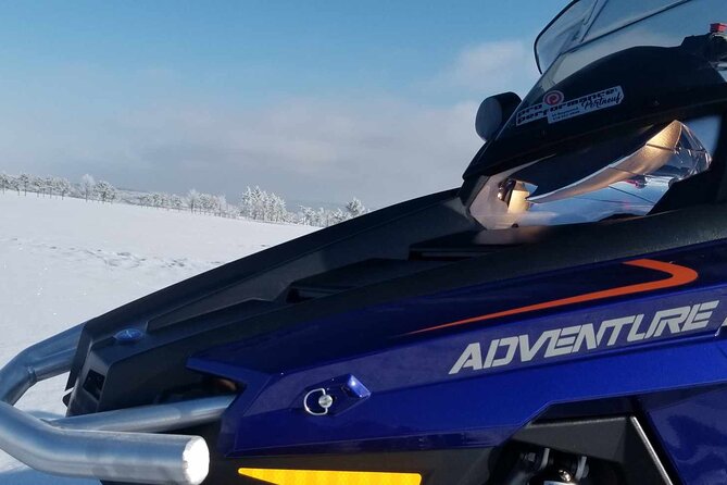 1.5-Hour Guided Snowmobiling Adventure - Who Will Love This Tour?
