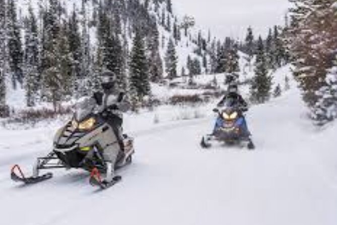 1.5-Hour Guided Snowmobiling Adventure - Final Thoughts: Is This Tour for You?