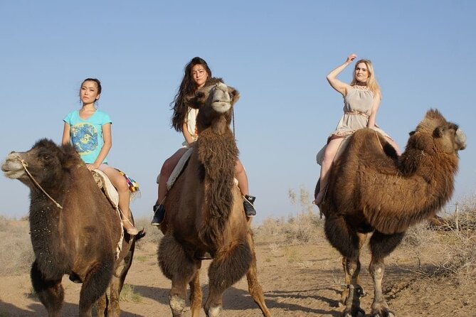 Uzbekistan Highlights & Village Life: 9-Day Tour from Tashkent - Who Should Consider This Tour?