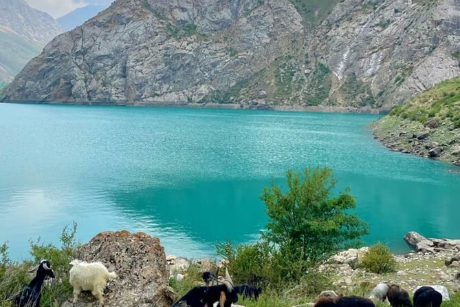 Tashkent Tour at Amirsoy, Chimgan Mountains and Charvak lake - Good To Know