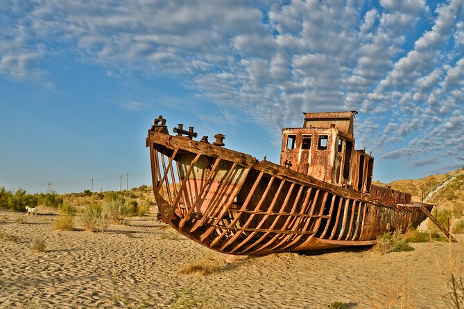 Aral Sea Tour with Khiva-Samarkand and Bukhara and Tashkent - Transportation and Group Experience