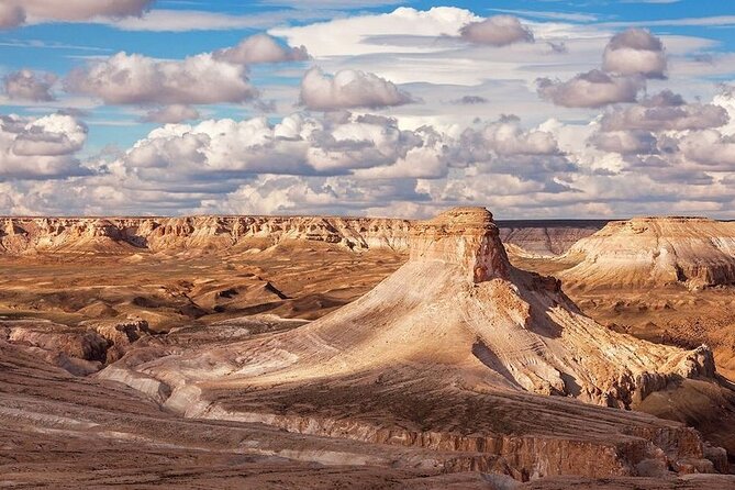 Aral Sea Tour with Khiva-Samarkand and Bukhara and Tashkent - Who Will Love This Tour?