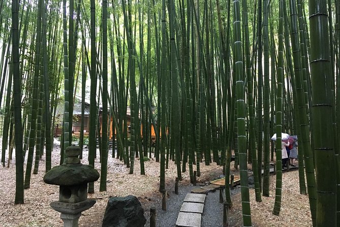 Exciting Kamakura - One Day Tour from Tokyo - Who Should Consider This Tour?