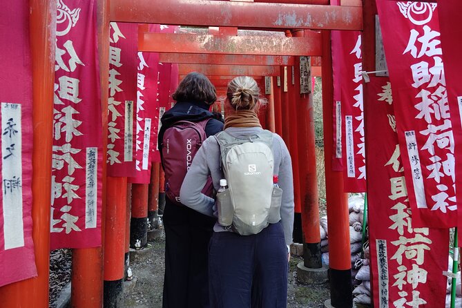 Hidden Treasures of Kamakura Temples Shrines and Buddha - Navigating the Details