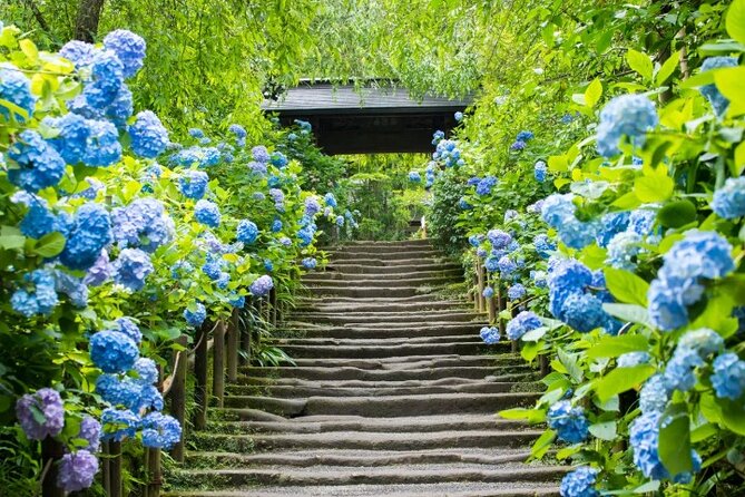 Private Temples and Nature in North Kamakura Walking Tour - Final thoughts: Is it worth it?