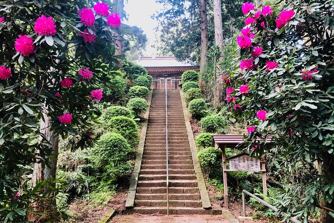 Buddha, Bamboo & Zen - Bespoke Kamakura Private Walking Tours - Tour Details