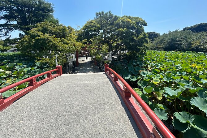 Kamakura and Enoshima Shared Walking Tour - Who Is This Tour Best For?