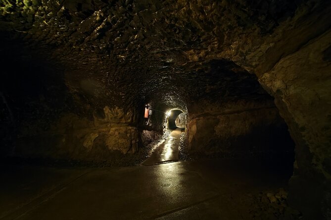 Kamakura Samurai Legends Shrines and the Great Buddha - Authentic Insights and Traveler Experiences