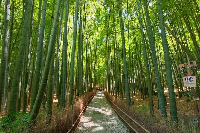 Kamakura Samurai Legends Shrines and the Great Buddha - Why This Tour Offers Great Value