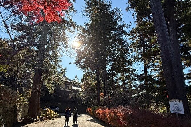 Kamakura Day Trip from Tokyo: Private Guided Walking Tour - Overall Value and Who It’s Best For