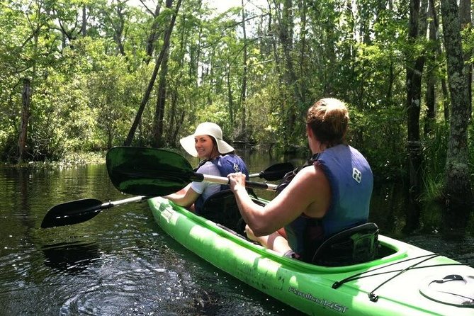 Alligator River Kayak Adventure - Exploring the Alligator River Kayak Adventure: A Natural Encounter on the Outer Banks