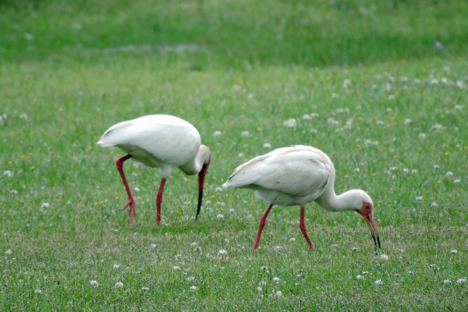Wright Brothers Carolina Dunes Self-Guided Driving Audio Tour - The Heart of the Tour: Wright Brothers National Memorial