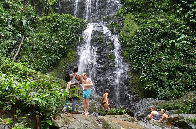 Full-Day Brownsberg Nature Park Tour - Final Thoughts