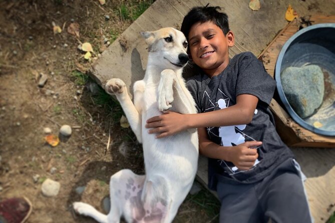 Summer Dog Sledding Adventure in Willow, Alaska - The Sum Up: Who Is This Tour Best For?