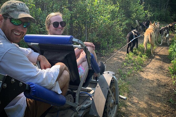 Summer Dog Sledding Adventure in Willow, Alaska - Frequently Asked Questions