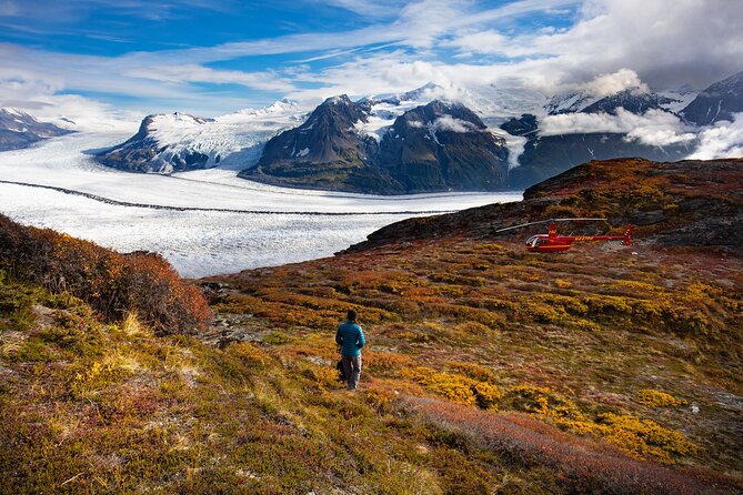 Custom Helicopter Hiking Adventure-Half Day-Anchorage Area - An Adventure in the Alaskan Wilderness: The Custom Helicopter Hiking Experience