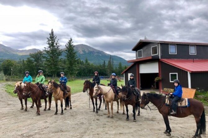 One and Half Hour Trail Ride at The Base of Chugach Mountains - The Horses, Equipment, and Safety