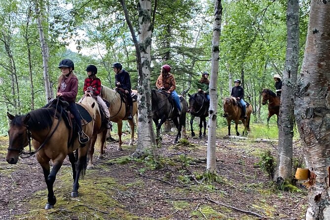 One and Half Hour Trail Ride at The Base of Chugach Mountains - Good To Know