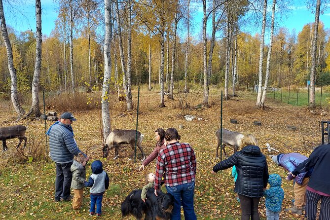 Reindeer Meet and Feed - Talkeetna - Good To Know