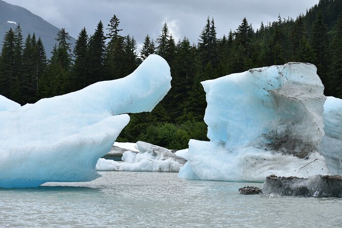 Stikine River Wilderness Tour - Wildlife & Scenic Stops