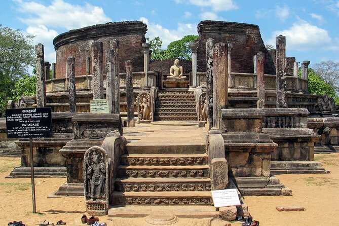 Polonnaruwa Ancient Kingdom and Wild Elephant Safari from Dambulla - Who Will Love This Tour?