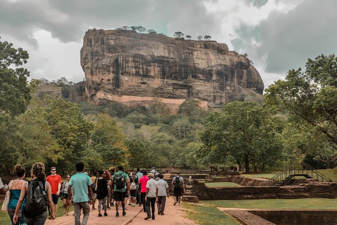 Sigiriya Rock and Wild Elephant Safari from Dambulla - Exploring Sri Lanka’s Cultural and Natural Treasures in One Day