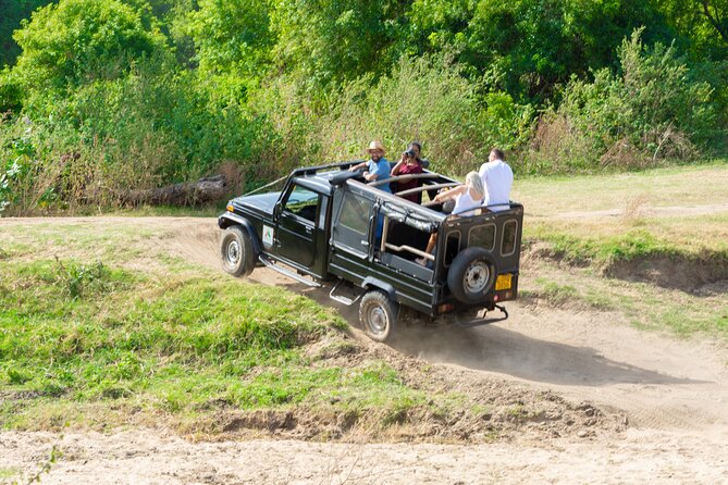 Sigiriya Rock and Wild Elephant Safari from Dambulla - The Sum Up
