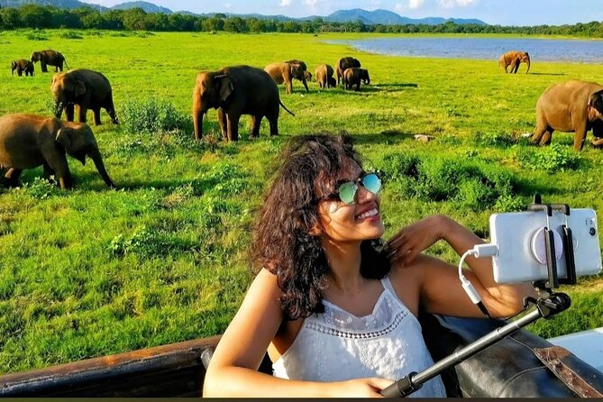 Kaudulla Safari Adventure - FAQ: Your Questions Answered