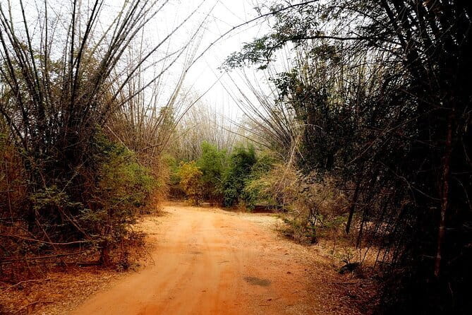 Sigiriya Hike & Minneriya Safari Private Full Day Tour - Wildlife Safari at Minneriya: Elephants and More