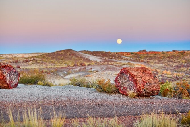 Self-Guided Audio Driving Tour in Petrified Forest National Park - The Sum Up
