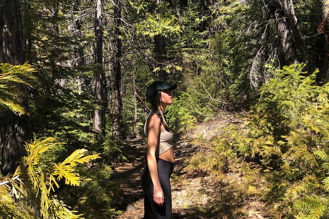 Redwoods Forest Bathing - Why This Experience Offers Great Value