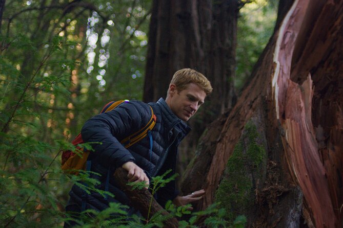 Redwoods Forest Bathing - FAQs