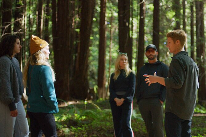 Redwoods Forest Bathing - Discover California’s Towering Giants: The Redwoods Forest Bathing Tour