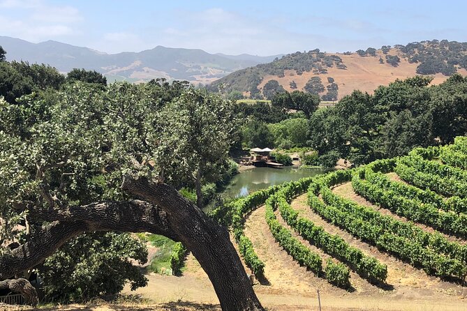 Unique Santa Barbara Wine Country Private Wine Tours and Tastings - Key Points