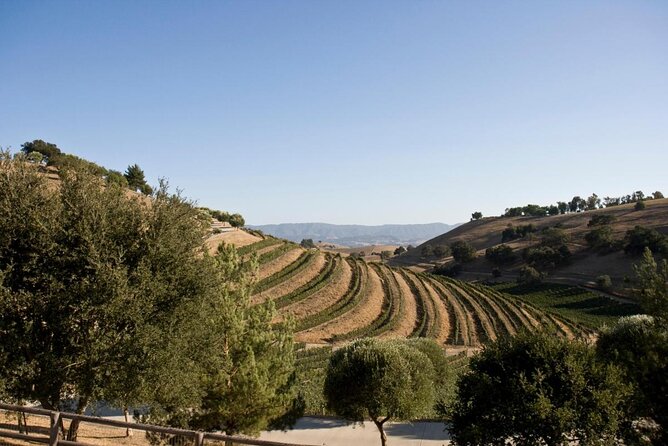 Unique Santa Barbara Wine Country Private Wine Tours and Tastings - Discover Santa Barbara Wine Country with a Private Tour