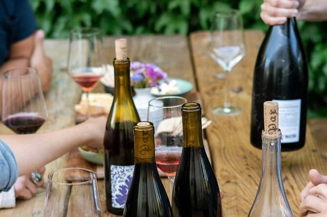 Olive Oil, Cheese, and Wine Tasting with Local Expert - The Sum Up