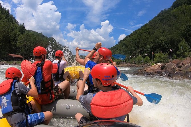 Full Ocoee River Rafting Adventure with a Riverside Lunch - Who Should Consider This Tour?