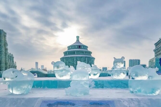 Harbin Group Day Tour:Harbin Ice and Snow Festival - Authentic Experiences and Tips