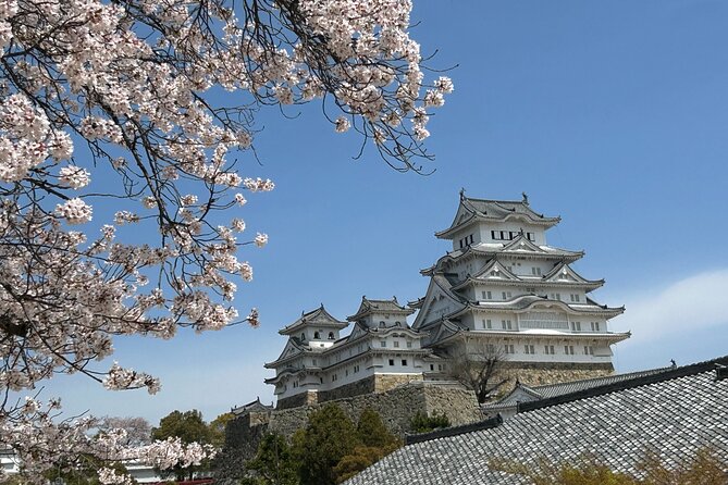 Kobe-Himeji Customize Tour with Pickup and Drop Off - Deep Dive into the Tour Experience