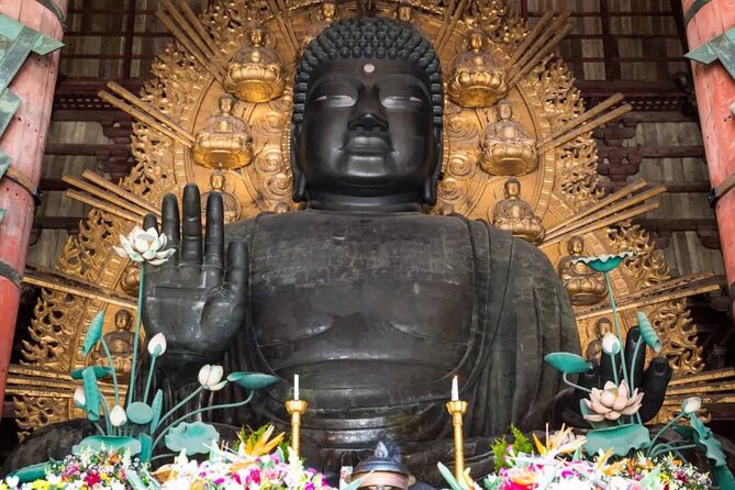 Nara and Osaka Tour from Osaka or Kobe Port - Authentic Experiences and Practical Tips